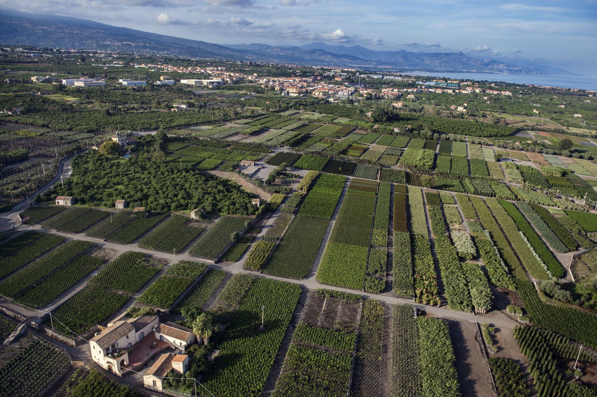 SEMINARIO: Sviluppo del sistema vivaistico agrumicolo attraverso innovazioni di prodotto e di processo